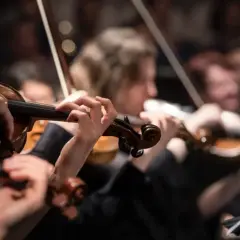 Orkiestra wykonuje utwór Schuberta. Skupione dłonie muzyków grają na skrzypcach, tworząc harmonijną melodię.