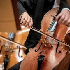 Muzyk gra na wiolonczeli w orkiestrze. Dźwięki wiolonczeli wypełniają salę koncertową.