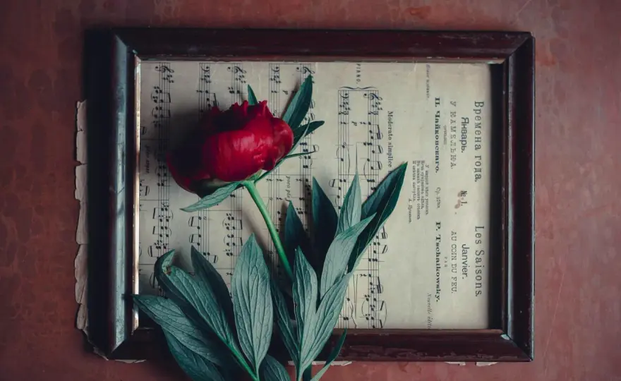 Ballada w literaturze i muzyce - cechy, odmiany i różnice