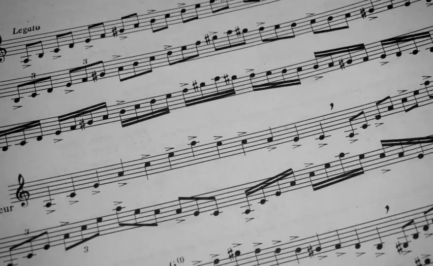 Coda w muzyce i literaturze - jak rozpoznać jej funkcję?